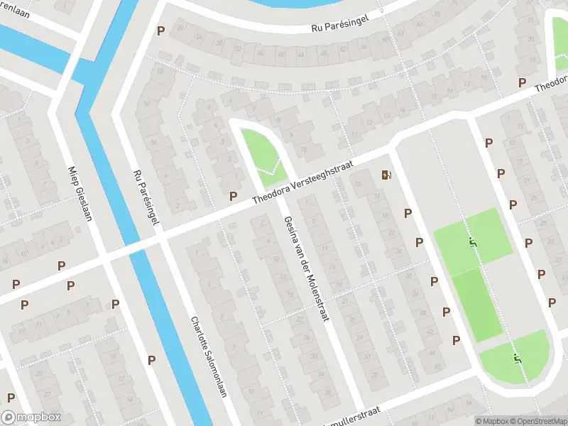 Ambulance met grote spoed naar de Gesina van der Molenstraat in Pijnacker