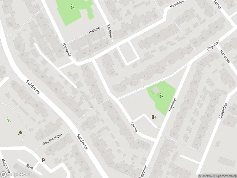 Overlastmelding Populier in Best