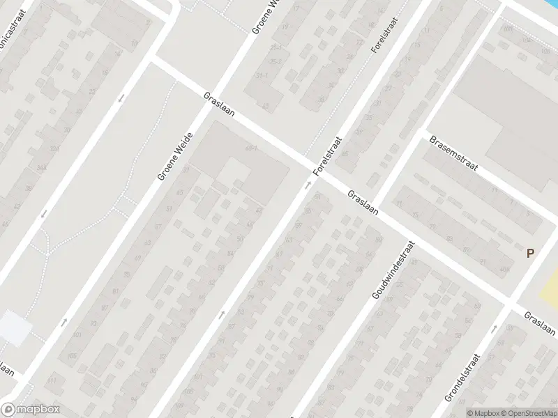 Overlastmelding Veerpolderstraat in 6833BR Arnhem