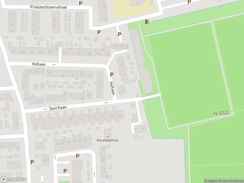 Ambulance met gepaste spoed naar de Hoflaan in Klaaswaal