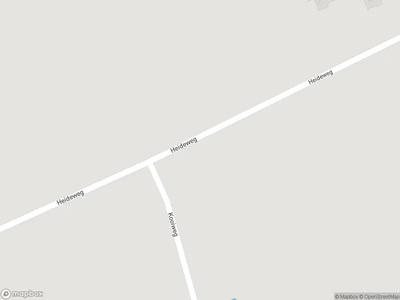 Ambulance met gepaste spoed naar de Heideweg in Giessenburg