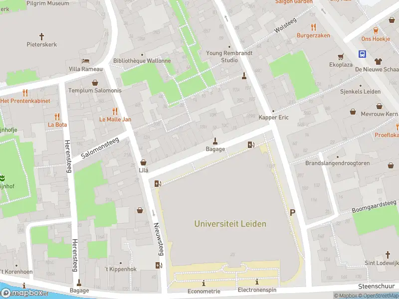 Ambulance met gepaste spoed naar de Zonneveldstraat in Leiden