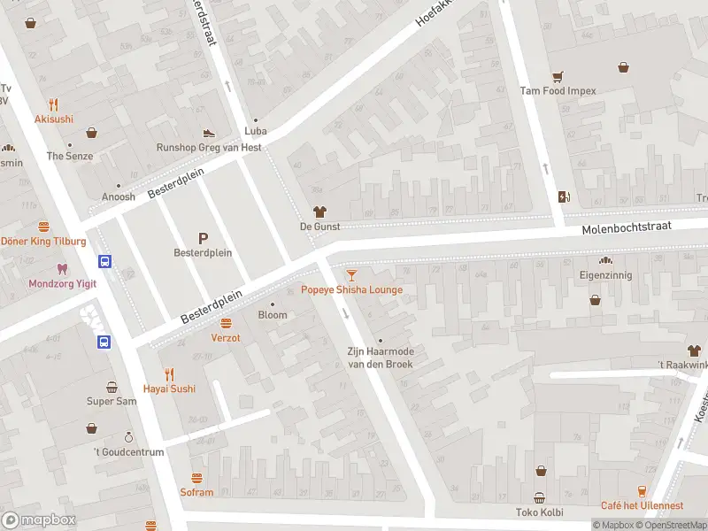 Overlastmelding Leonard van Vechelstraat in 5014HD Tilburg