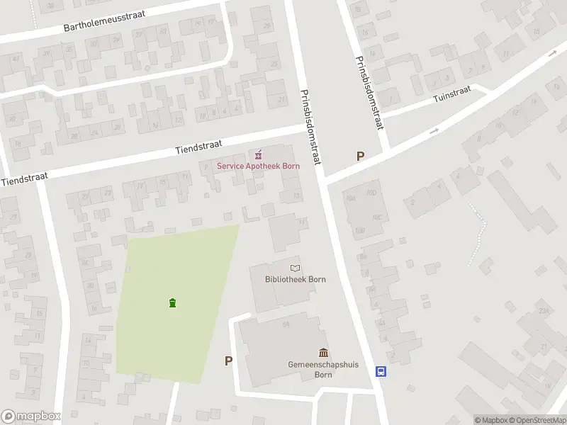 Overlastmelding Prinsbisdomstraat in Born