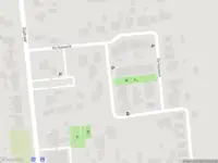 Overlastmelding Dorsvlegel in De Moer