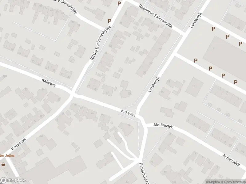 Overlastmelding Seefugel in Stiens