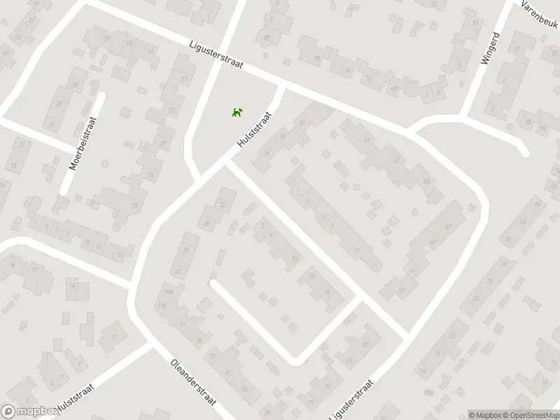 Ambulance met gepaste spoed naar de Lavendelstraat in Echt