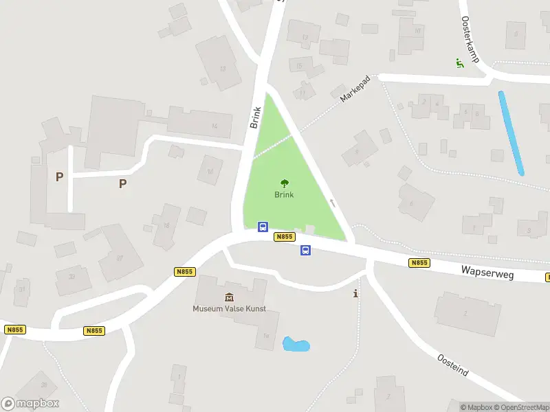 Brandweer met gepaste spoed naar de Brink in Vledder