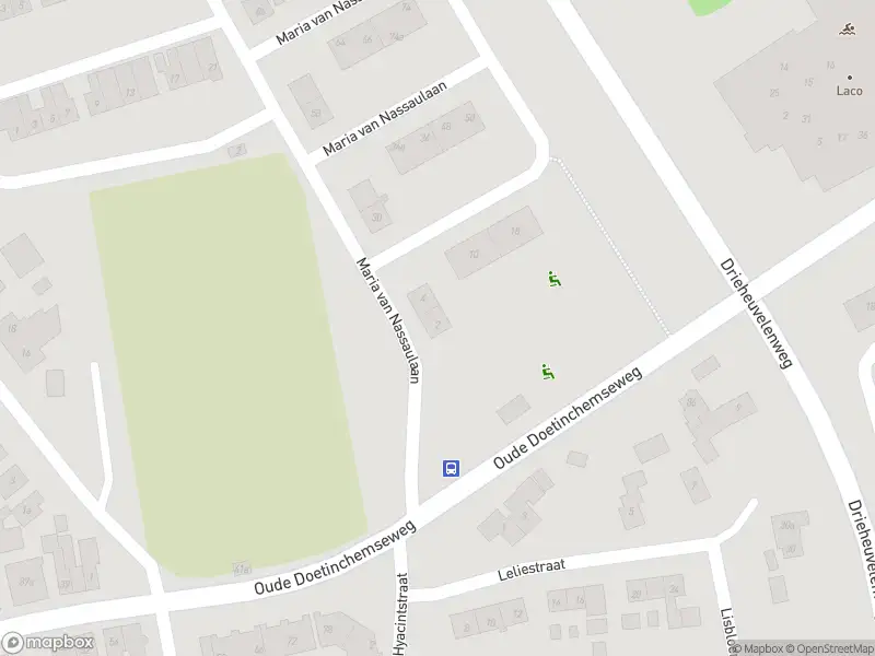 Overlastmelding Maria van Nassaulaan in 's-Heerenberg