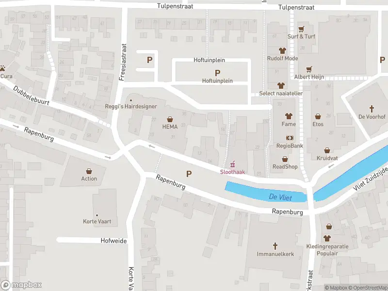 Overlastmelding Vliet Noordzijde in Rijnsburg