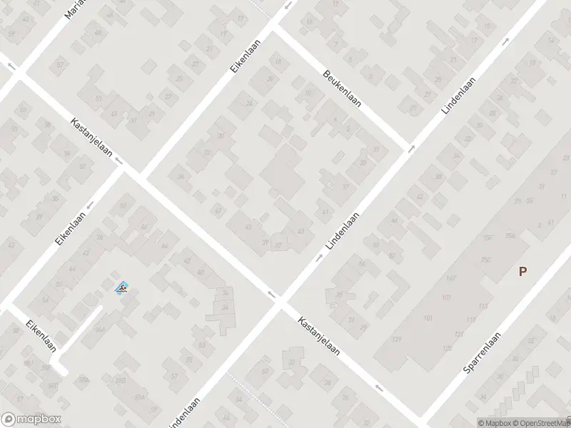 Ambulance met grote spoed naar de Eikenlaan in Zwanenburg