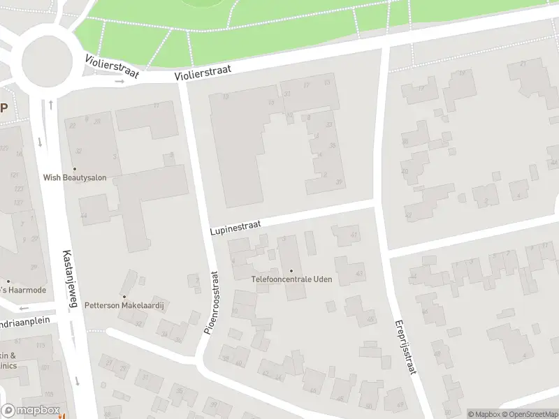 Brandweer met grote spoed naar de Lupinestraat in Uden