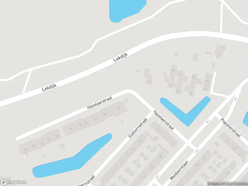 Politie naar de Lekdijk in Vianen vanwege aanrijding met letsel