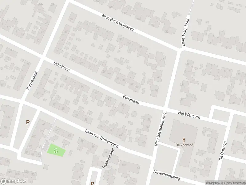 Overlastmelding Nico Bergsteijnweg in Woudenberg