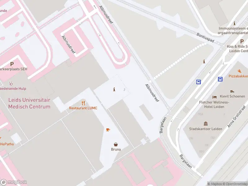 Ambulance met gepaste spoed naar de Brugmansplein in Leiden