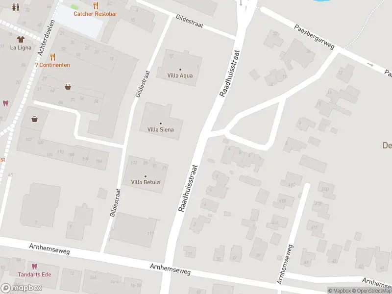 Politie naar de Raadhuisstraat in Ede vanwege aanrijding met letsel