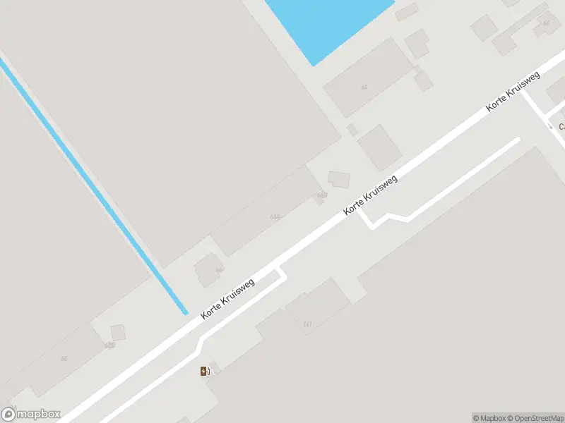 Ambulance met grote spoed naar de Oranjepolderweg in Maasdijk