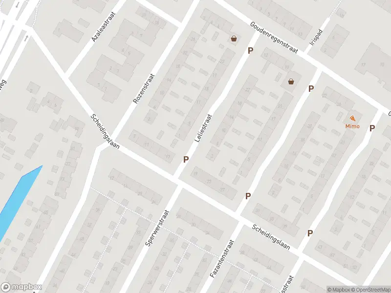 Ambulance met gepaste spoed naar de Leliestraat in Papendrecht