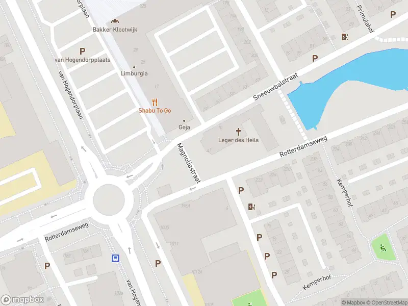 Brandweer met gepaste spoed naar de Johan de Wittstraat in Vlaardingen