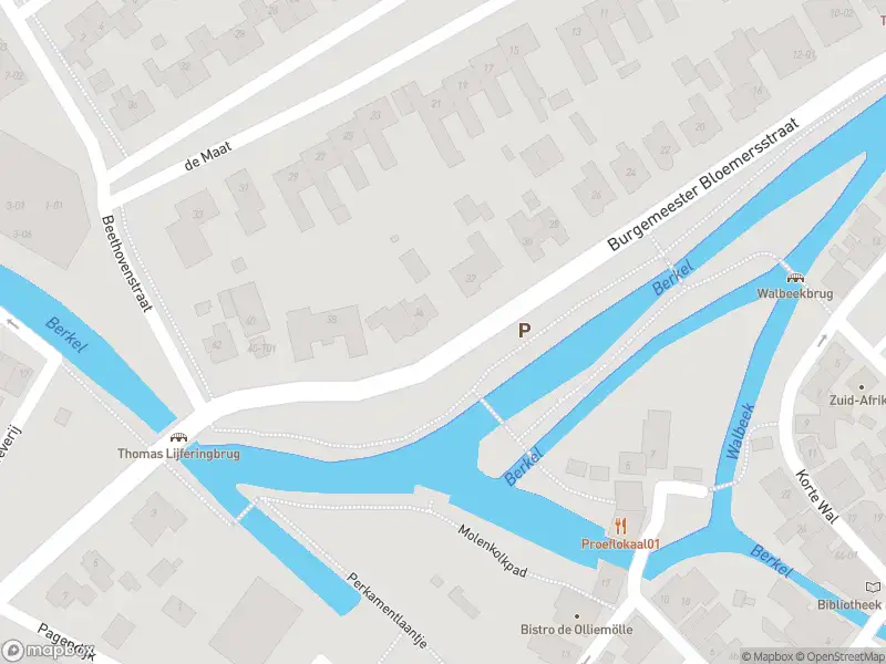 Politie naar de De Maat in Borculo