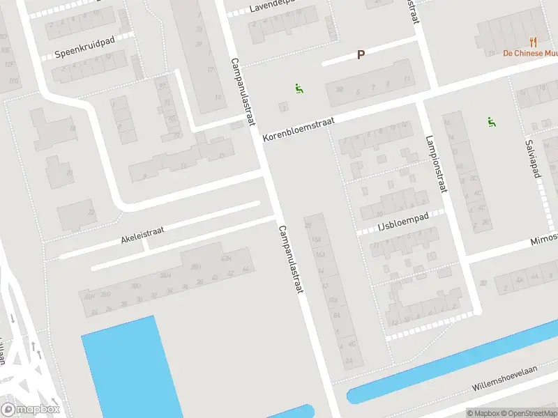 Ambulance met gepaste spoed naar de Campanulastraat in Spijkenisse