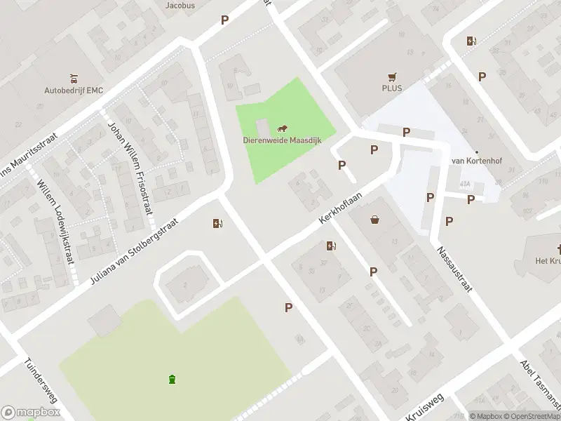 Ambulance met grote spoed naar de Prinses Wilhelminastraat in Maasdijk