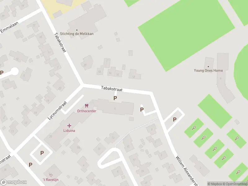 Overlastmelding Tabakstraat in Hulst