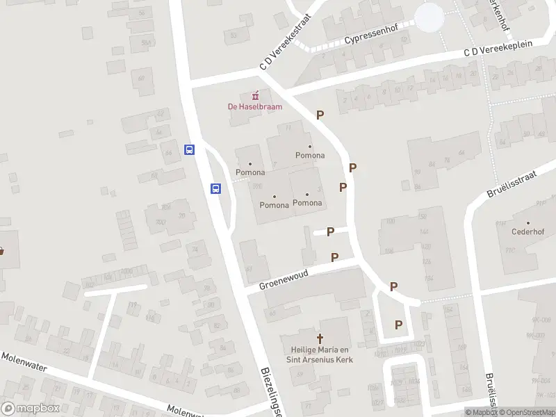 Overlastmelding Biezelingsestraat in Kapelle