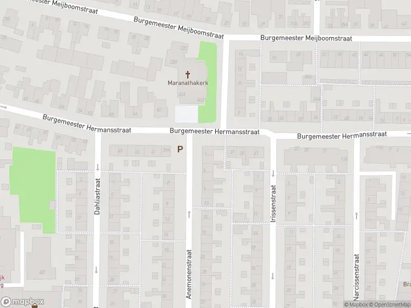 Overlastmelding Anemonenstraat in Rijnsburg