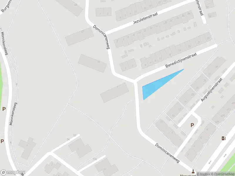 Overlastmelding Dominicanenweg in Arnhem