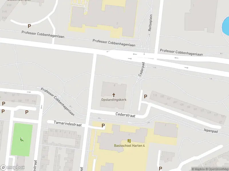 Overlastmelding Professor Cobbenhagenlaan in Tilburg