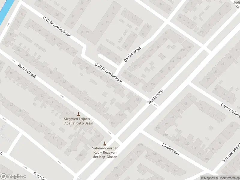 Overlastmelding C.W. Bruinvisstraat in Alkmaar