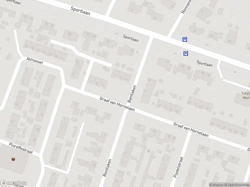 Ambulance naar de Graaf van Hornelaan in Werkendam