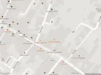 Brandweer met gepaste spoed naar de Veerstraat in Boxmeer