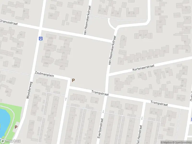 Brandweer met gepaste spoed naar de Welemanstraat in Borne