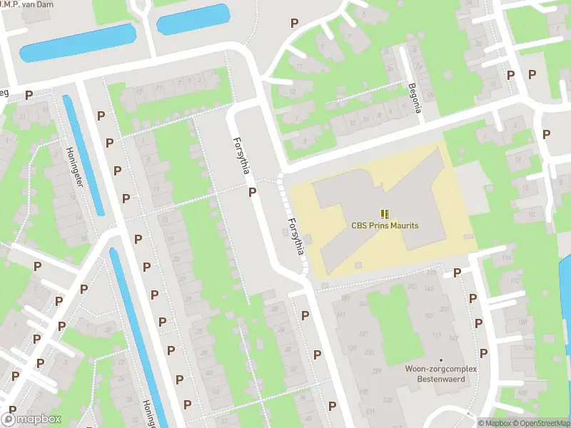 Overlastmelding Forsythia in Dirksland (3247 GB) gesloten