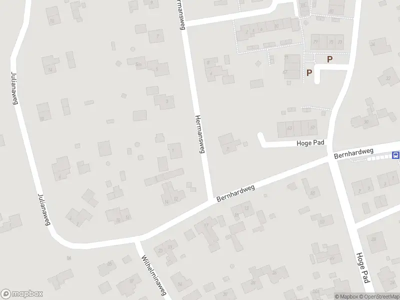 Ambulance met gepaste spoed naar de Hermansweg in Ouddorp