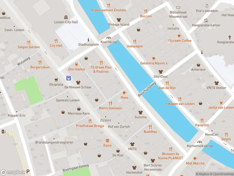 Ambulance met gepaste spoed naar de Steenschuur in Leiden