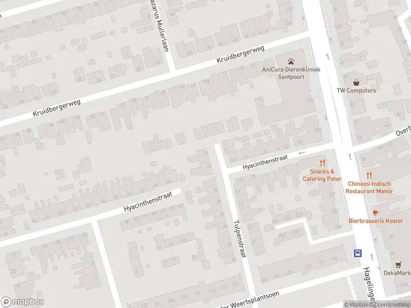 Overlastmelding Tulpenstraat in Santpoort-Noord