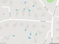 Ambulance met grote spoed naar de Borgerweg in Aerdenhout