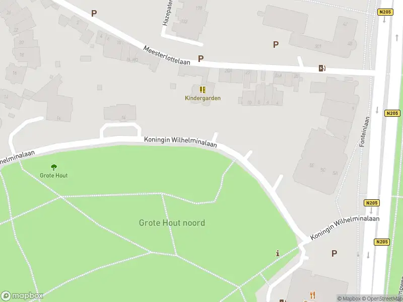 Brandweer met grote spoed naar de Westerhoutpark in Haarlem vanwege afhijsen patient