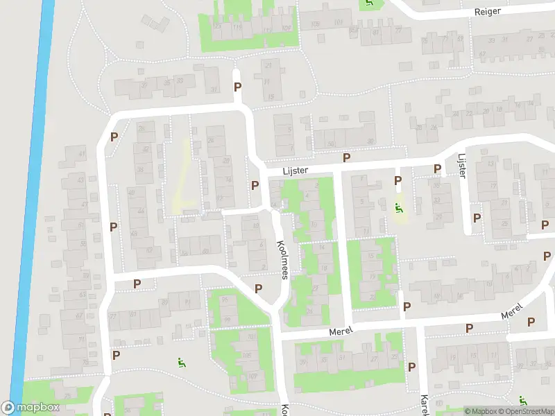 Besteld ambulance vervoer naar de Koolmees in Sommelsdijk