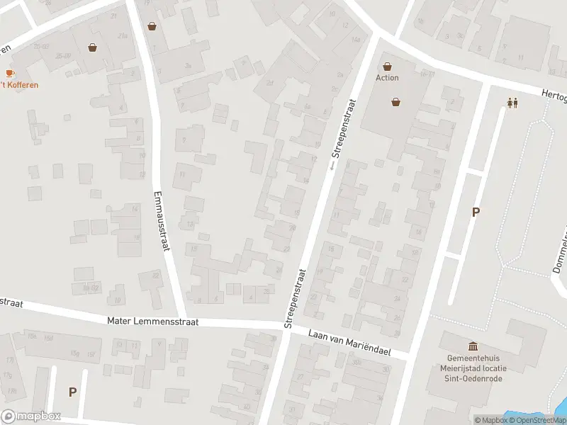 Brandweer met gepaste spoed naar de Nijnselseweg in Sint-Oedenrode vanwege voertuigbrand