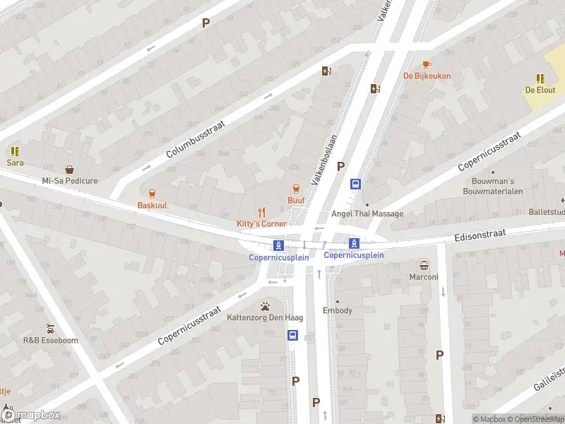 Ambulance met gepaste spoed naar de Copernicusplein in 's-Gravenhage