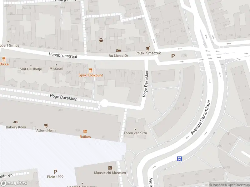 Overlastmelding Stellalunet in 6221JG Maastricht