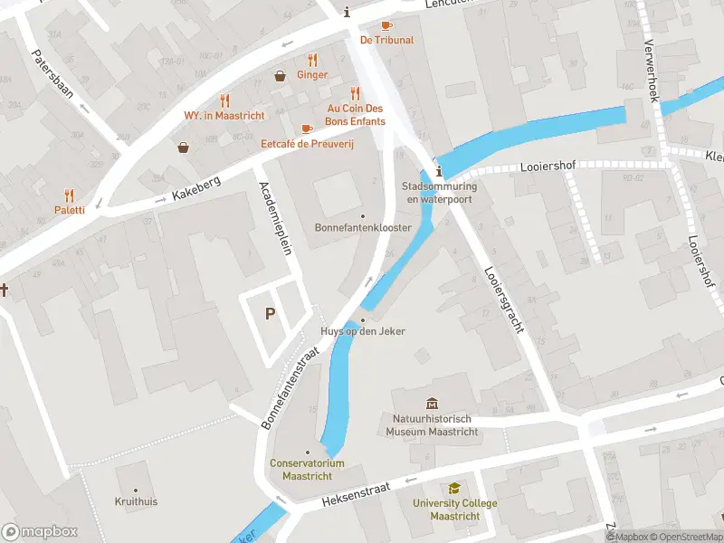 Brandweer met gepaste spoed naar de Bonnefantenstraat in Maastricht