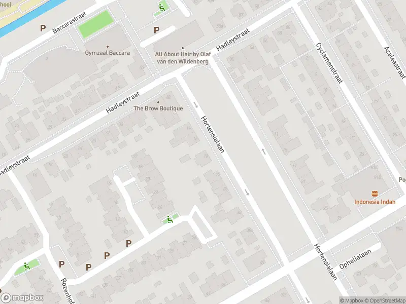 Overlastmelding Hortensialaan in Aalsmeer gesloten