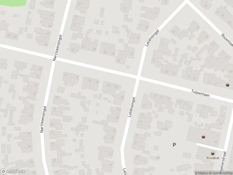 Overlastmelding Tulpenlaan in Geleen gesloten