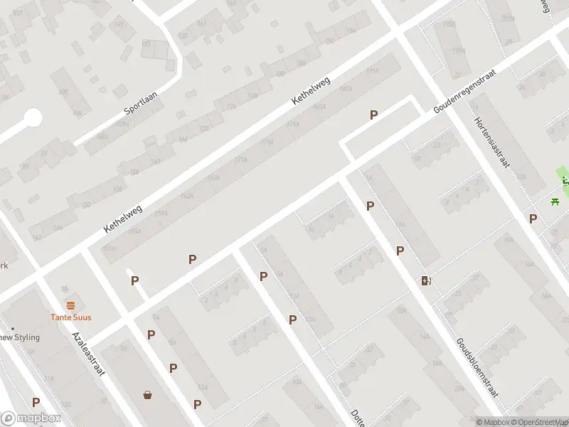 Ambulance met gepaste spoed naar de Goudenregenstraat in Vlaardingen