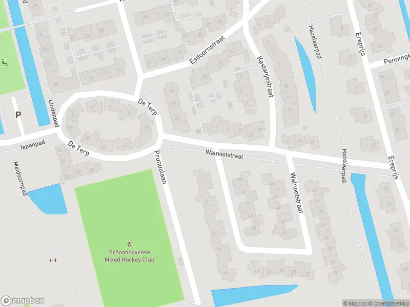 Ambulance met gepaste spoed naar de Walnootstraat in Schoonhoven